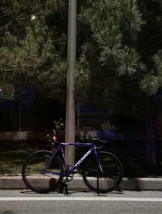 Tsunami snm100 . Fixed Gear