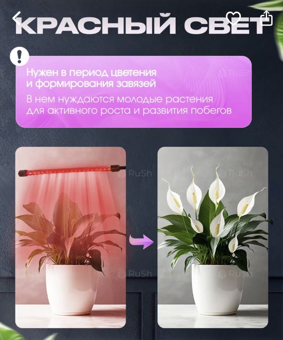 Продам Фито лампу