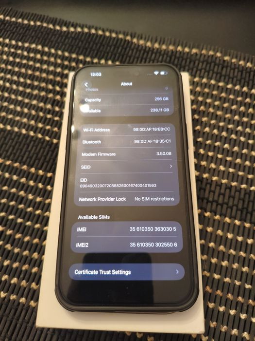 iPhone 15 Pro Max / 256GB / 100%