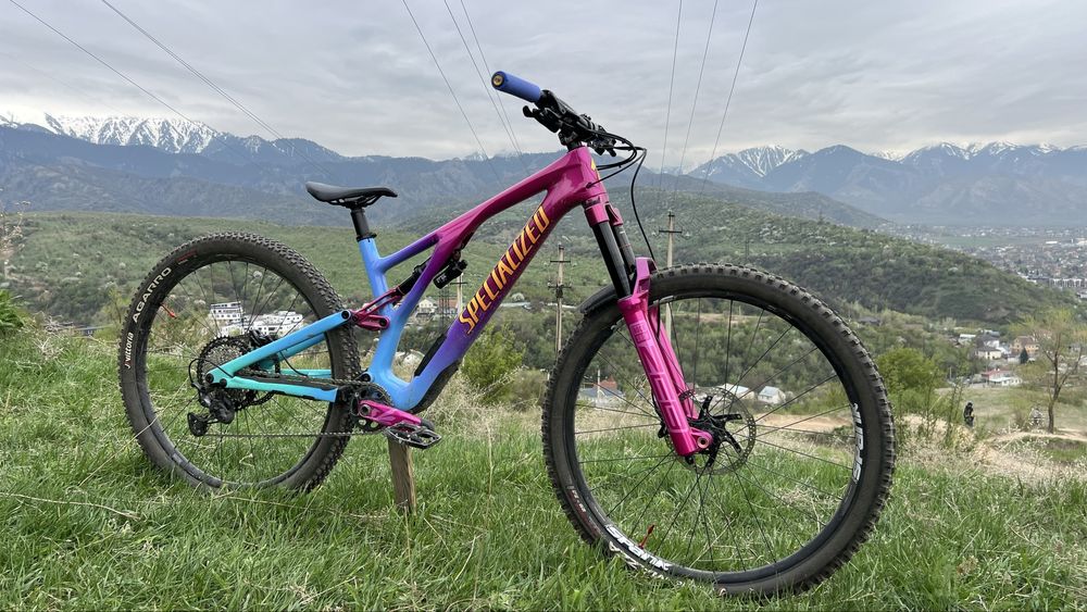 Велосипед Specialized Stumpjumper EVO Custom Carbon S4 (L)