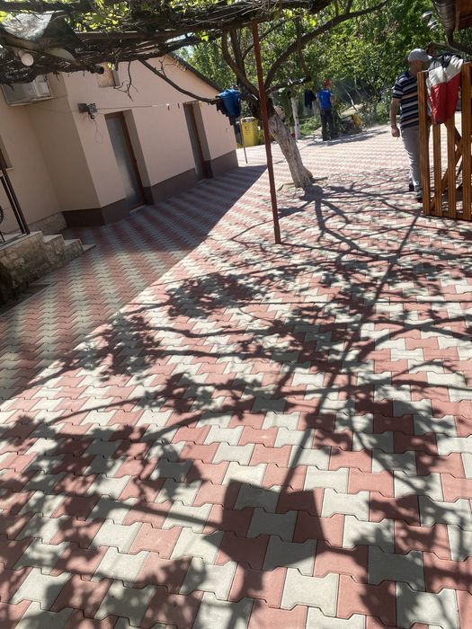 Firma cu experienta mare in santier