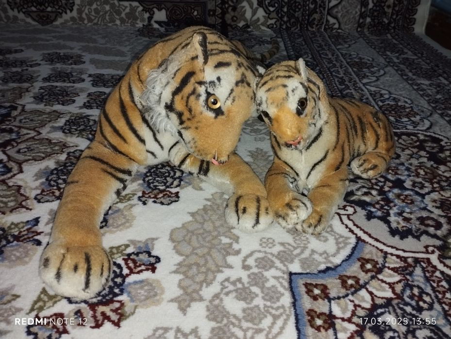 Уинчок арслон ва мошинча бирга. Холати яхши