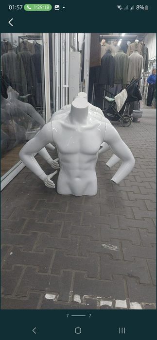 Пролам мужской торс