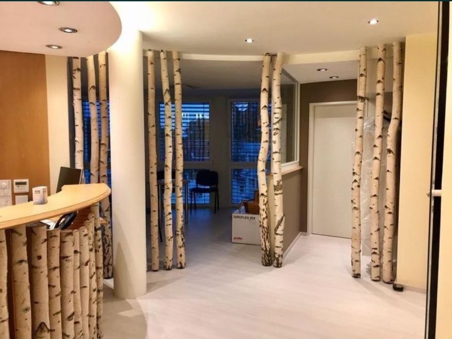 Trunchiuri decorative de mesteacan  pentru pereti despartitori