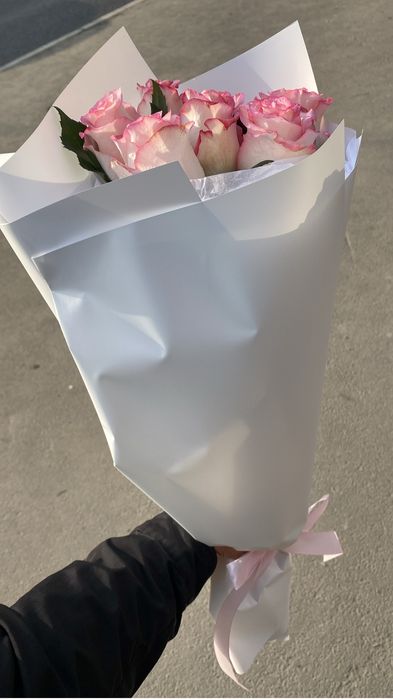 Розы 7 шт свежие