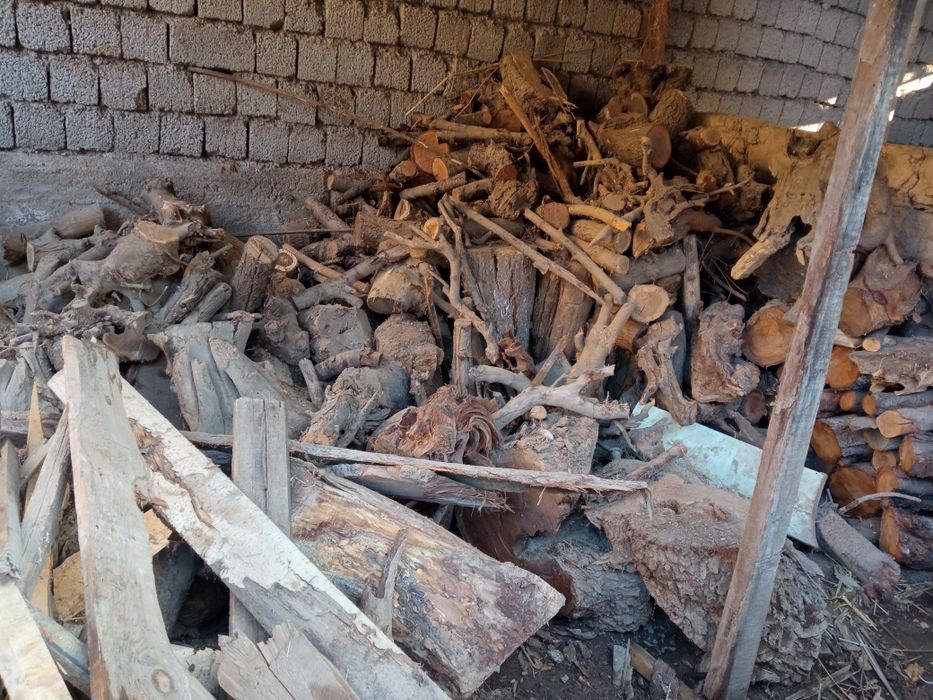 Otin yirik va mayda oʻtin