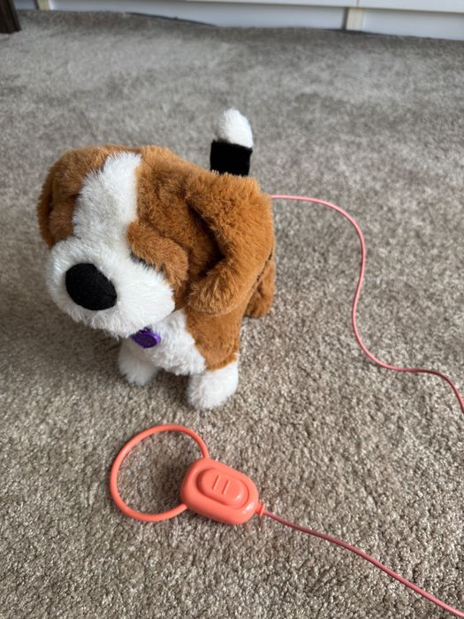 Catel plus interactiv Zigo Noriel