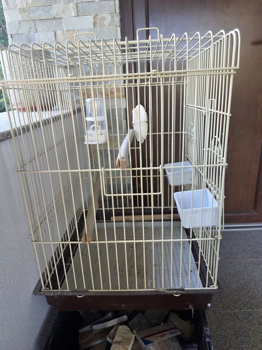 Cușcă papagal mare