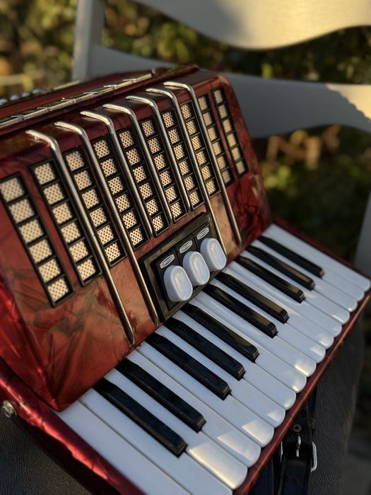 Acordeon Delicia Junior ll 48 bași