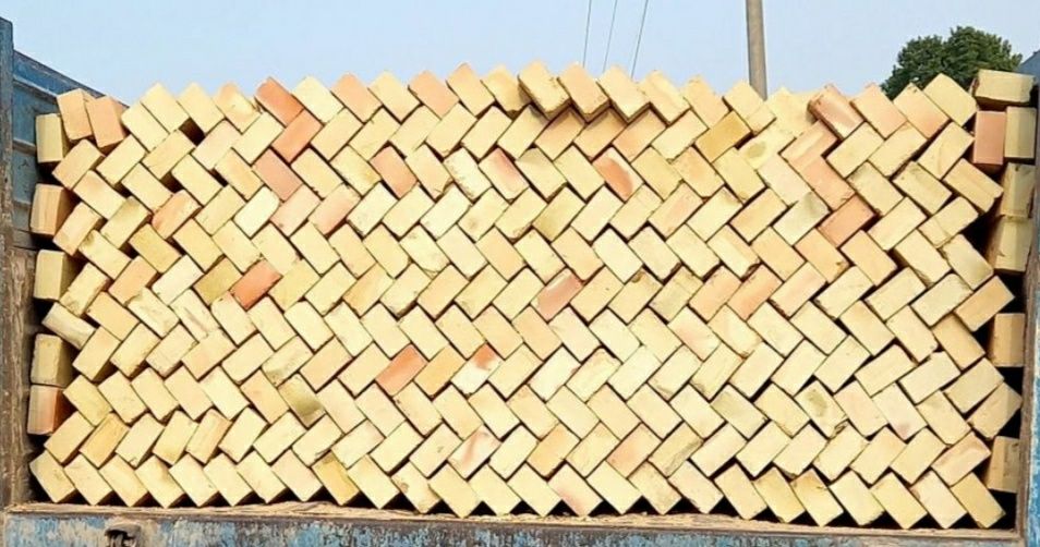 Пишган гишт почка гишт тошкент бойлаб йетказиб берамиз