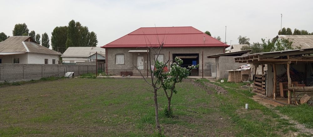 Куйи чирчик ту.Тошаул мах.да.хама шарт шаройт бор Ипатекахам болади