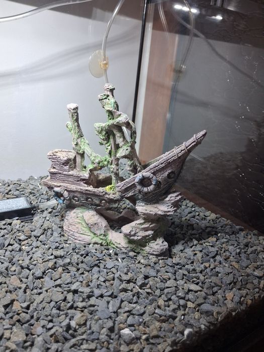 Vând acvariu  AQUAEL pești complet