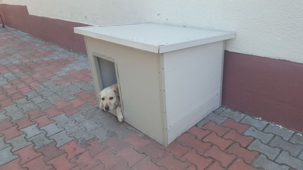Cușcă câine                           .