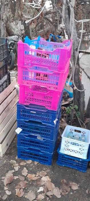 Продам ящики 50т