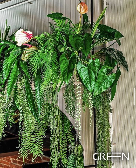 Озеленение | потолок | кашпо | фитостены