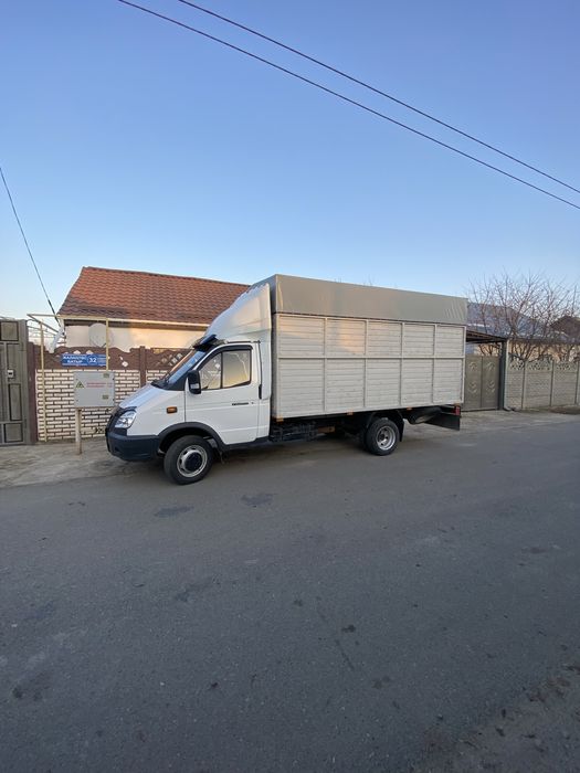 Газель Жалдау Тараз