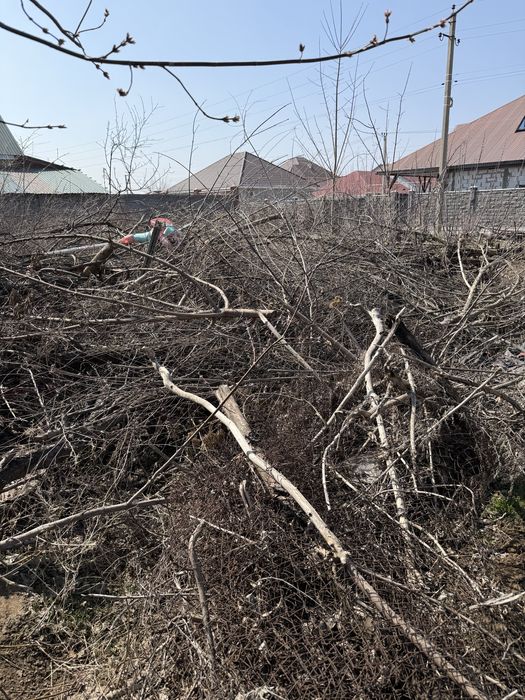 Бесплатно дрова Тегін Отын