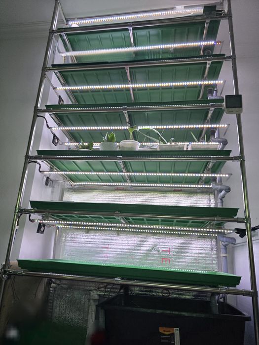 Гидропоника, сити-ферма