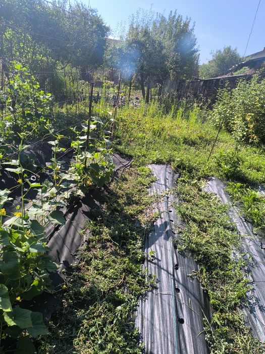 Продава се Парцел в с. Литаково, Област София-област - 770 кв.м за 39 €/кв.м - Снимка #6