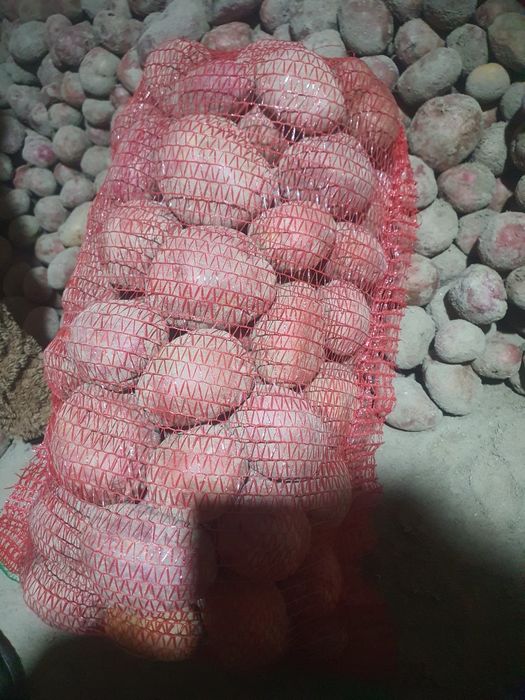 Vând cartofi consum