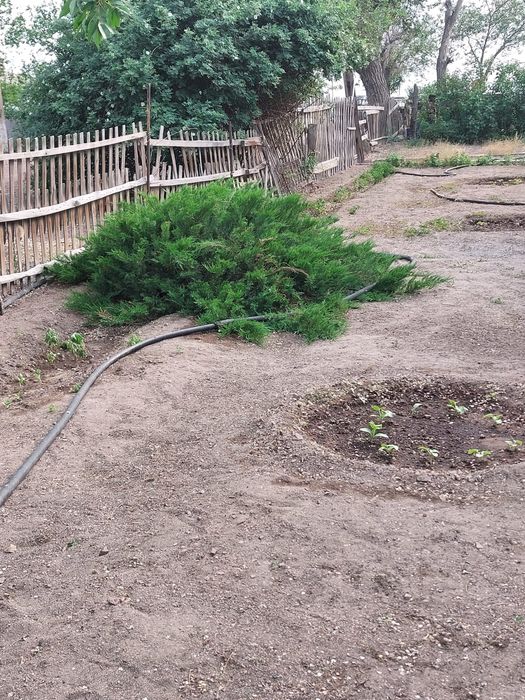 Торангылык 130 м2