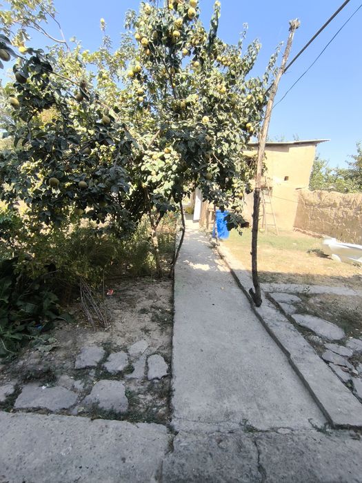 Uy xolati yaxwi yasha boladi