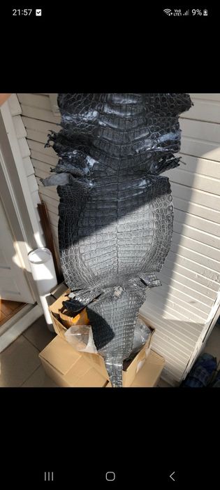 Portcard piele exotica Crocodil