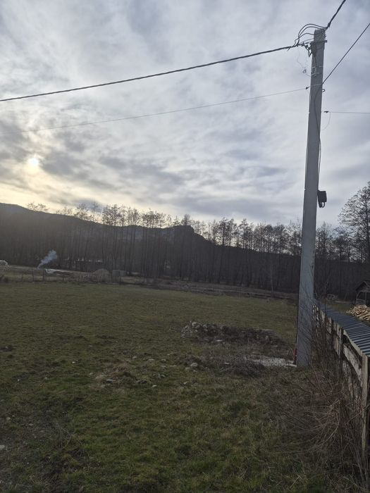 Teren 2000 mp Săpânța intabulat
