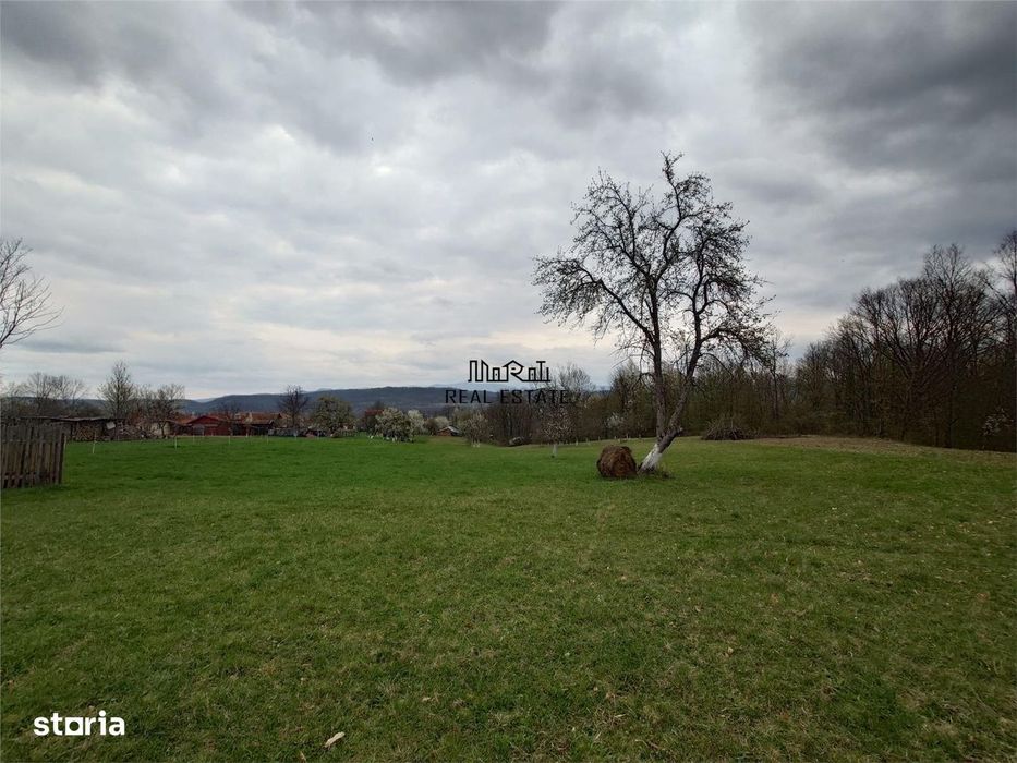 10 000 mp teren intravilan cu priveliste