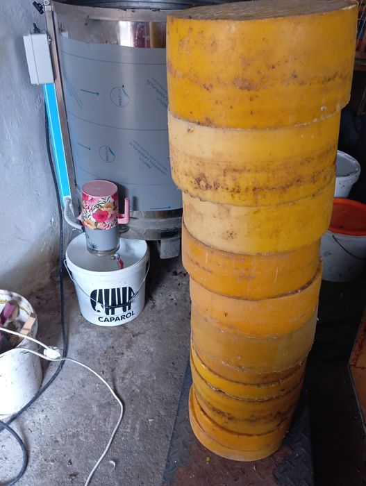 Ceară capaceală albine