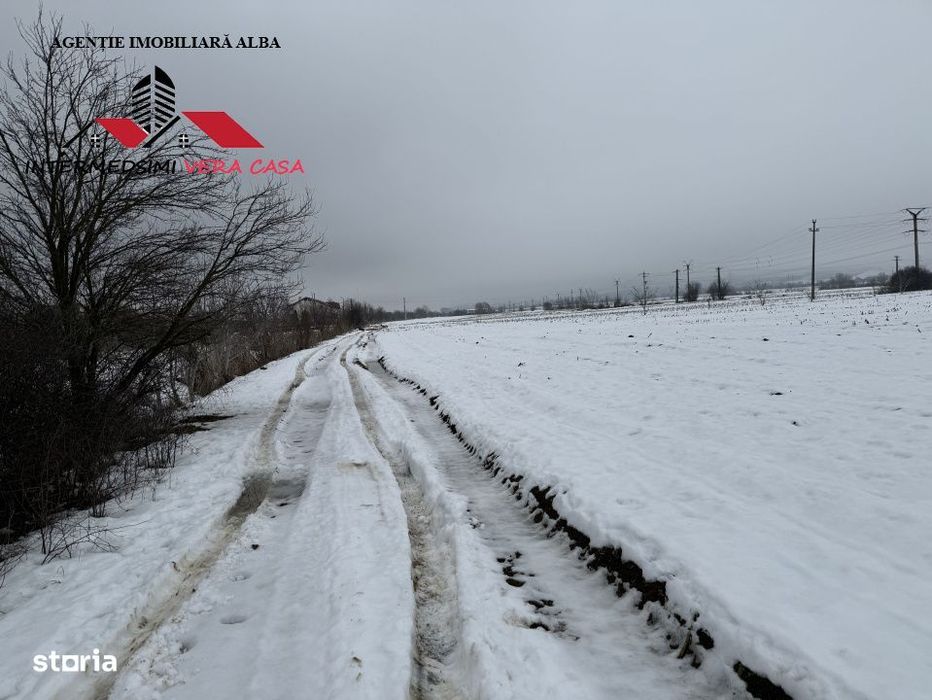 Teren intravilan 3900 mp de vanzare pe Centura Alba iulia ( konti )