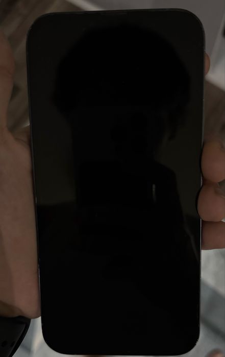 iPhone 13 Pro Max 256