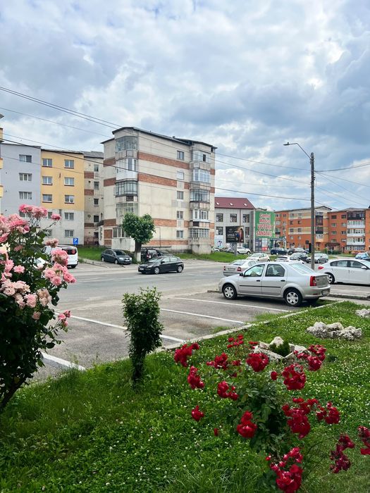 Apartament 3 camere