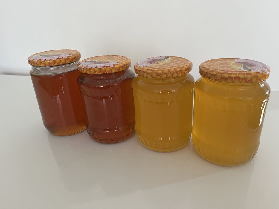 Vând miere poliflora si de salcam