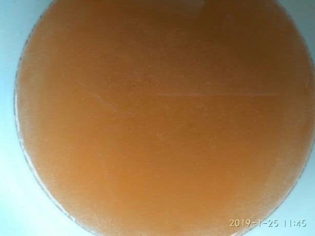 Oua de Artemia umeda si koral -incubare hrana pesti exotici de acvariu