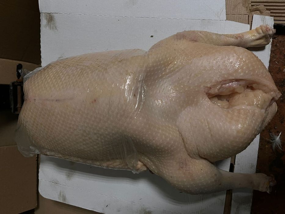 Продам гусинное мясо!!!