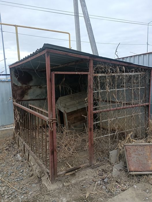 Барьер для собак 2,40-1,60