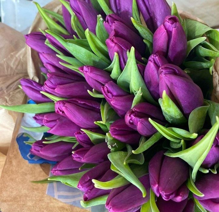 Предзаказ тюльпанов на 8 марта