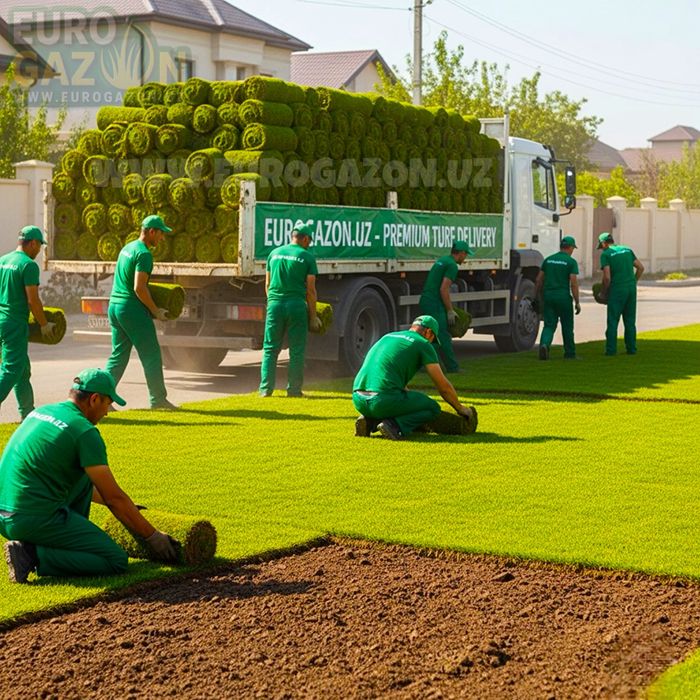 Услуги по укладке рулонного газона | Gazon ekish xizmati