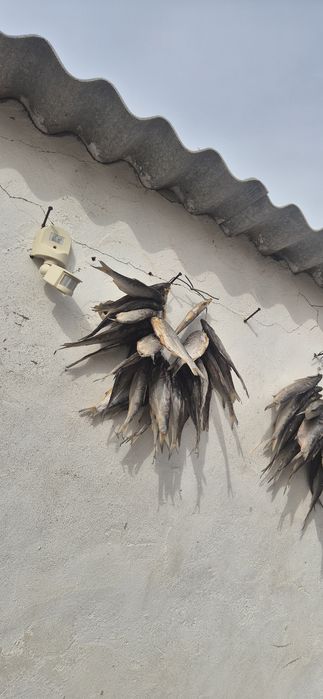 Кепкен балық, вяланая рыба