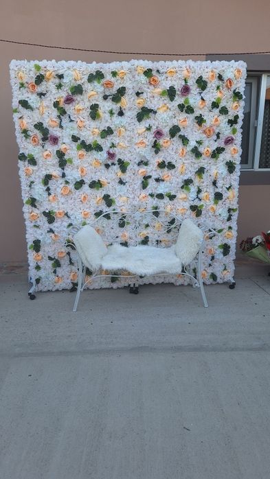 Porumbei albi pt evenimente speciale din viata dv