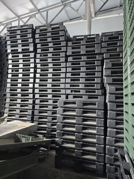 Поддоны пластиковые, Европоддон, паддон, паллет, plastmassa paddon