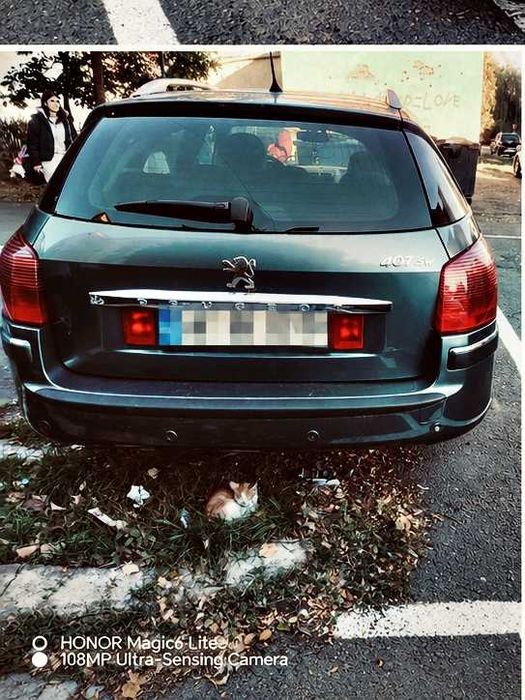PEUGEOT 407 2005 — imagine 2
