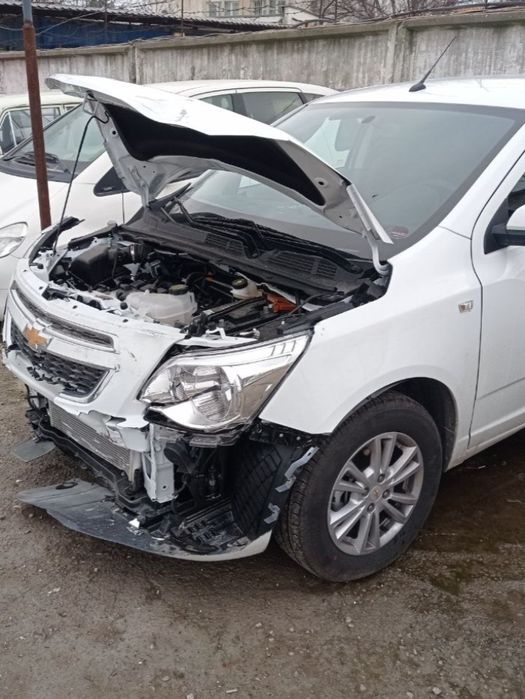 Kastoprav xizmati 24/7. Insofli narxlar va in shaa Allox sifatli ish