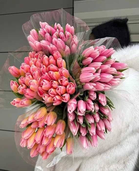 Тюльпаны оптом от производителя голлоандские сорт