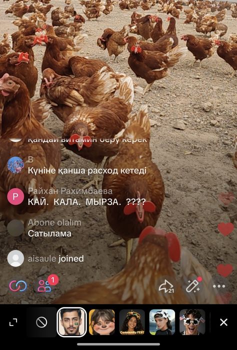 Продам домашний яйцо