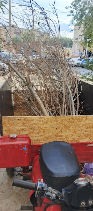 Мотороллер Муравей с документами