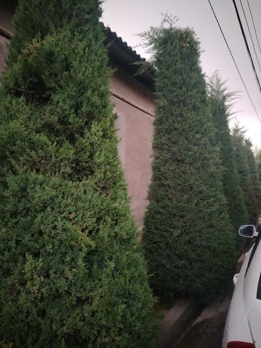 Hovli, uy sotiladi, 3sotok,