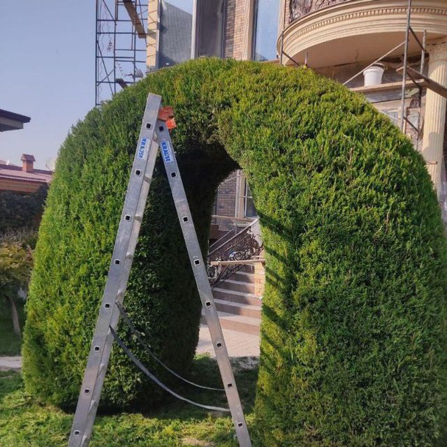 archa ekish kesish dorilash