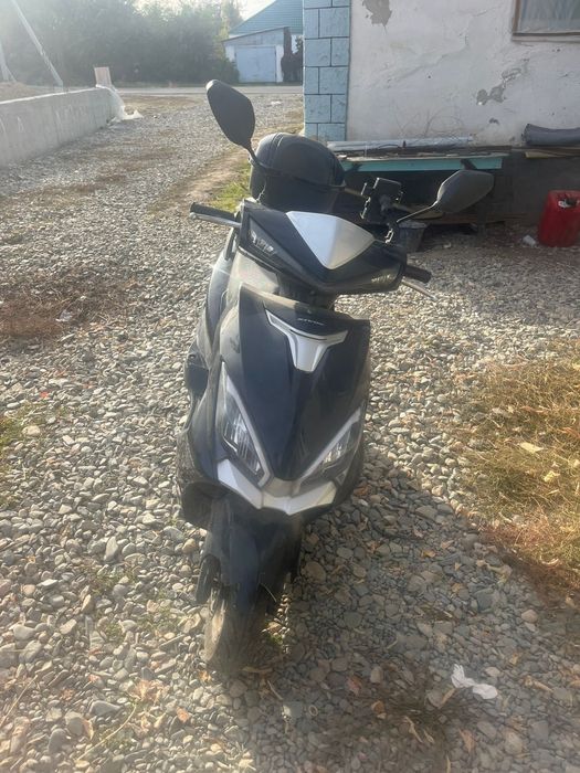 Скутер про8 сроча